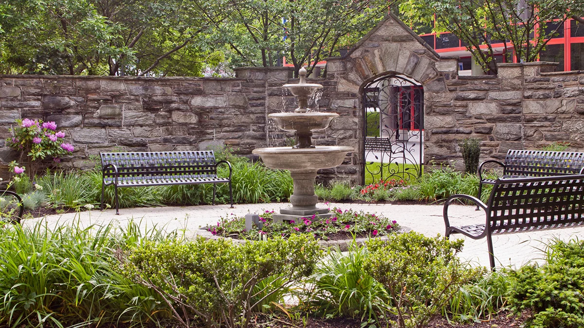 Purple flowers and fresh landscaping within the donor garden during spring season