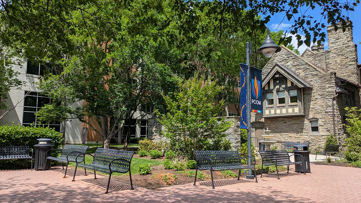 Wide view of the donor garden looking toward the Levin building