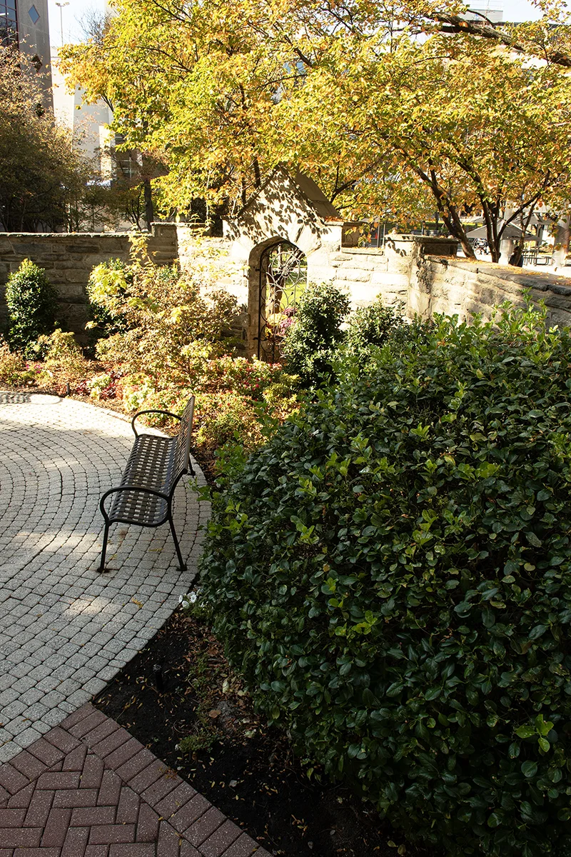 Vertical shot of the stone wall and bushes in the donor garden