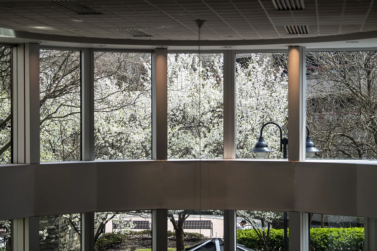 View of landscaping and trees budding out of the Hassman upper lobby windows during spring season