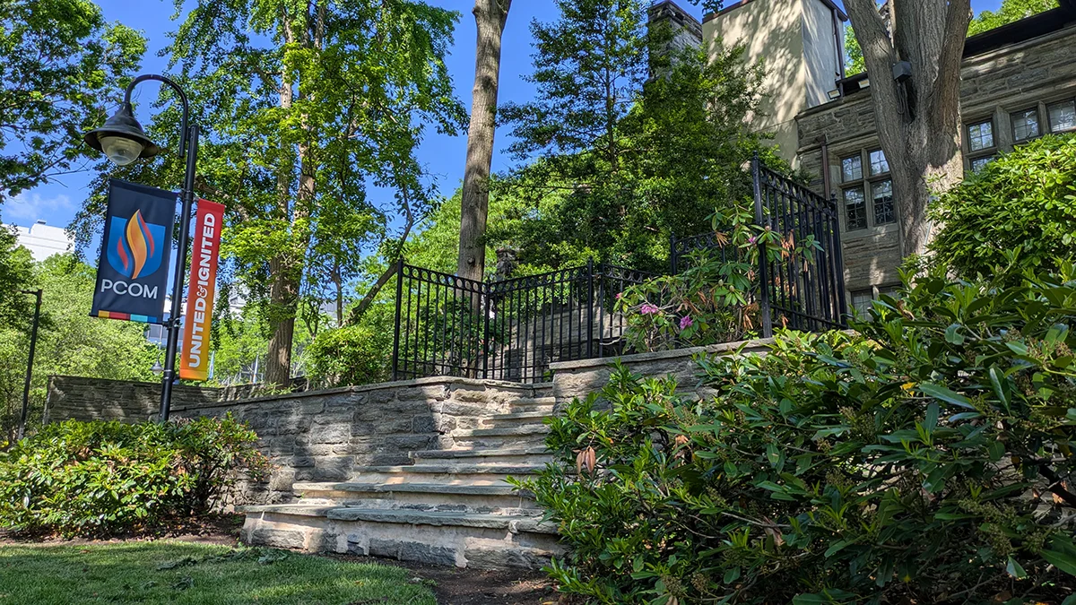 Stone steps leading into a grass garden area behind Levin