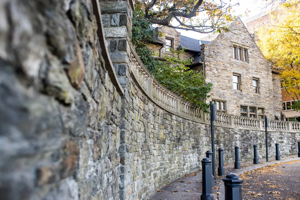 Side view of the stone wall and path leading to the Levin Administration Building