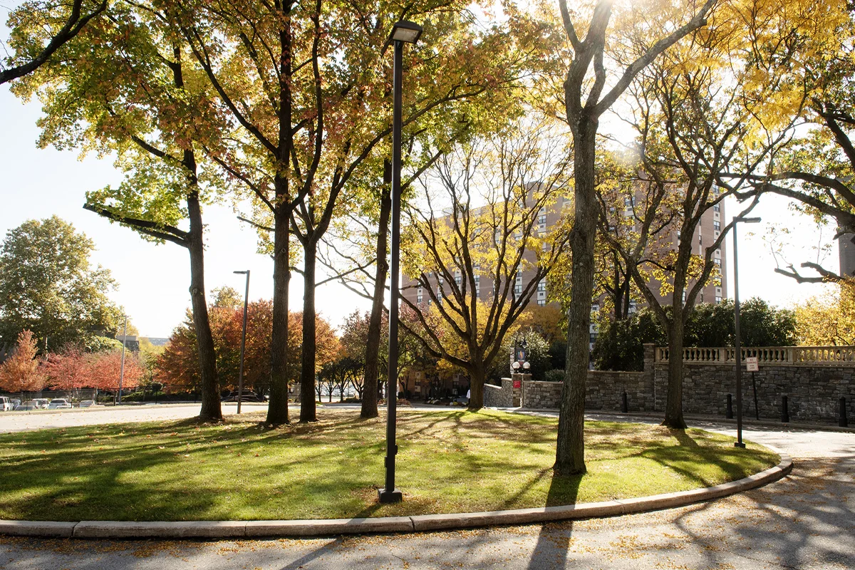 Building, landscaping and road