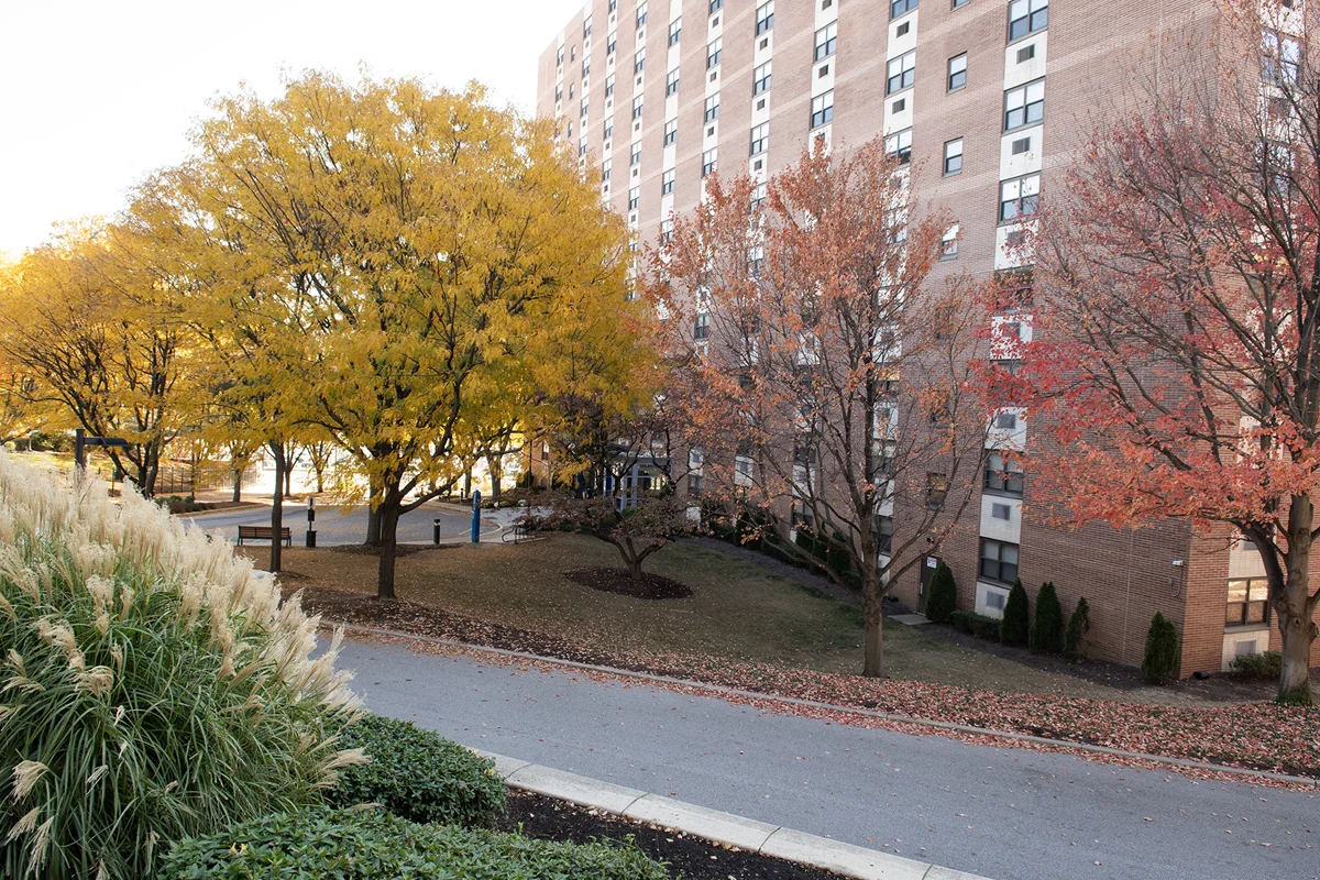 Side view of the front landscaping