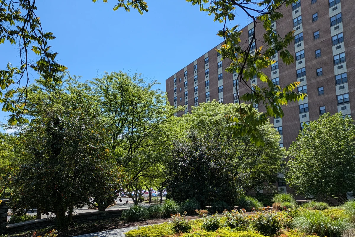 Looking toward Meta Christ House through green trees and landscaping on PCOM's campus