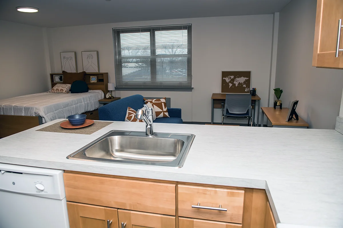 Kitchen area facing the rest of the unit