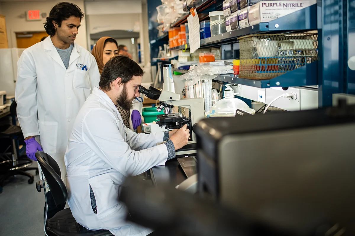 Student looking through a microscope in a PCOM lab