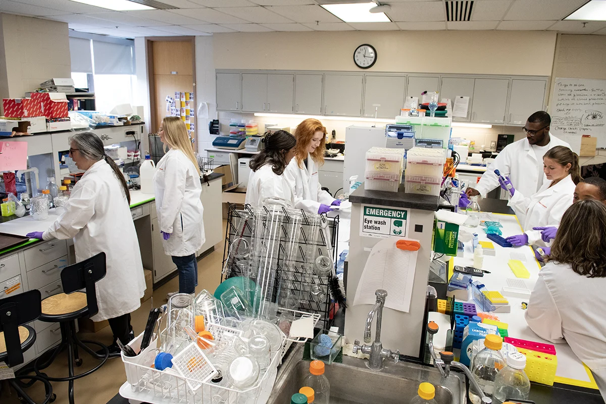 Students working and discussing at stations in Dr. D'Angelo's research lab at PCOM