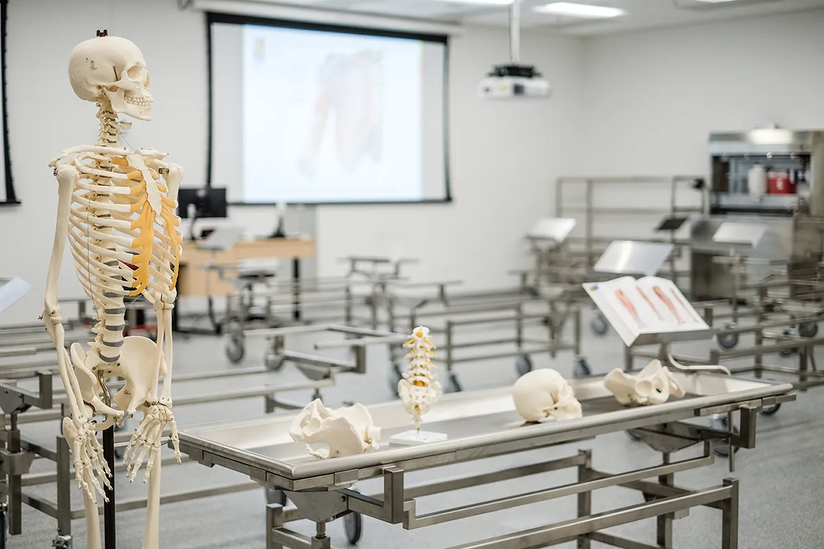 PCOM South Georgia anatomy lab and skeletal mannequins and tables