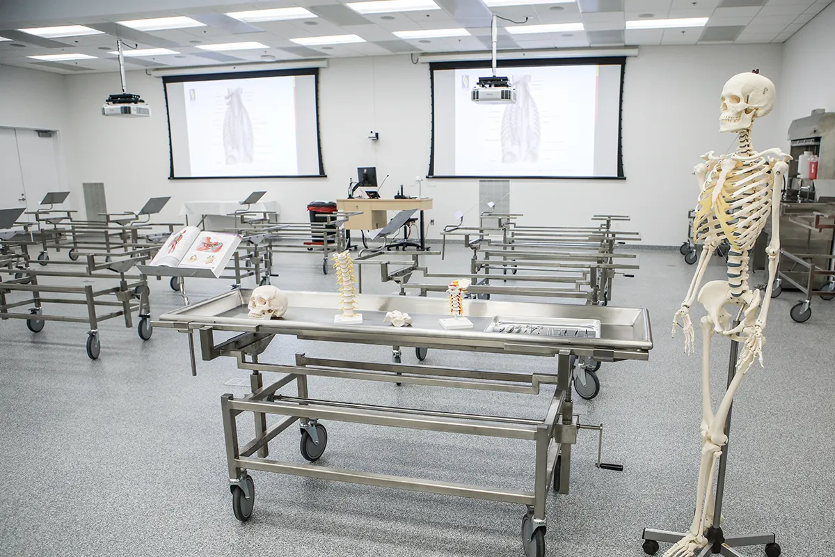 Learning materials and bone models on tables in PCOM South Georgia's anatomy laboratory