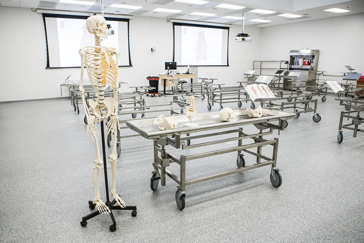 Wide view of PCOM South Georgia's Anatomy Laboratory