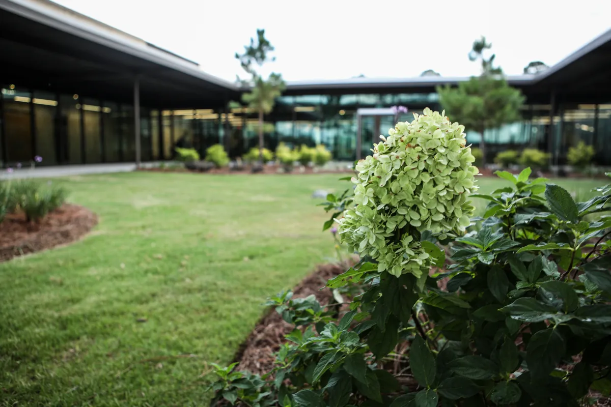 Macro view of the native plants of South Georgia within the Jeter Courtyard