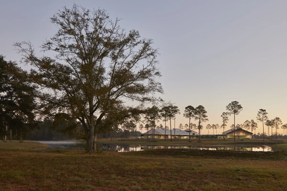 View of the trees and pond while facing PCOM South Georgia's rear
