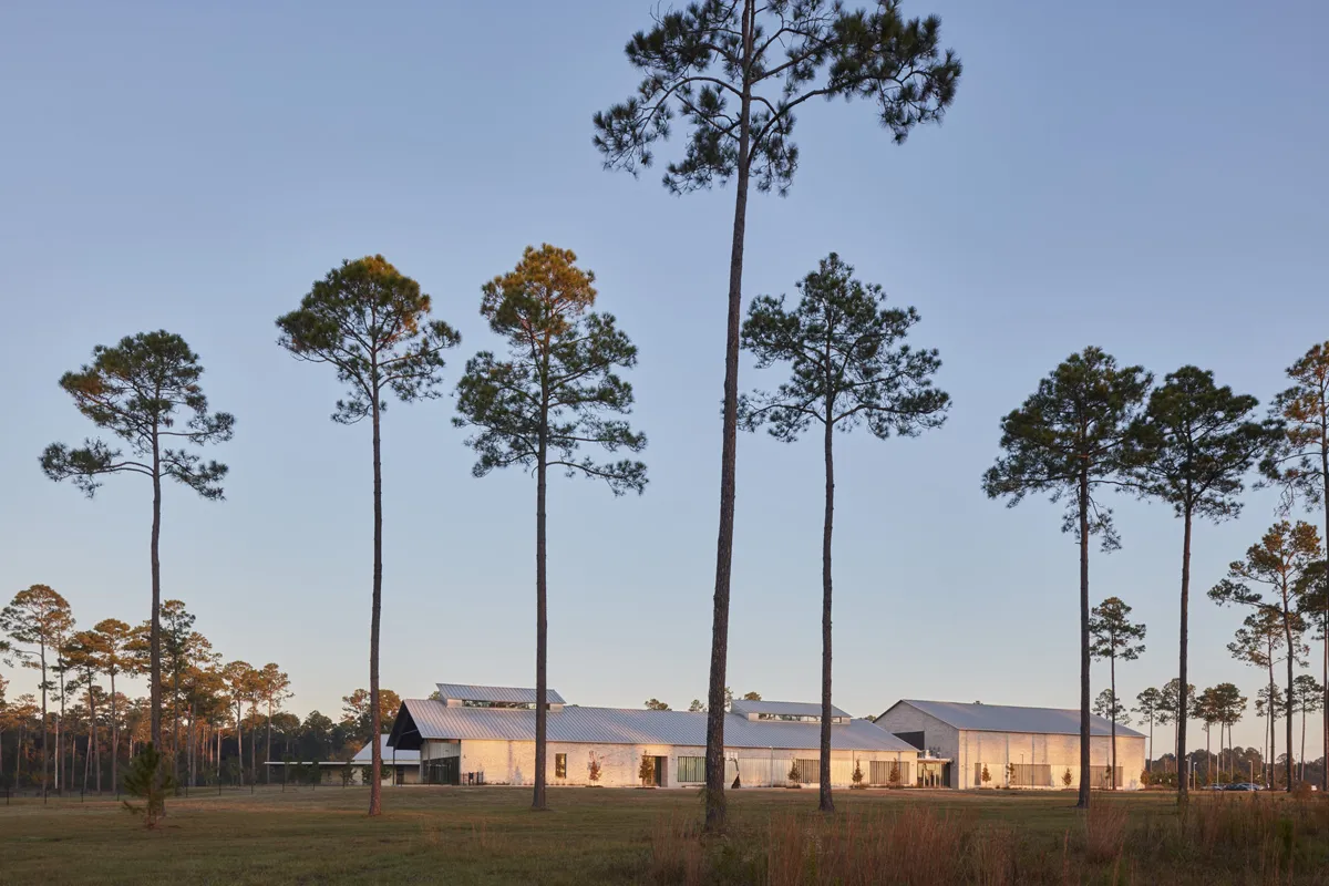 Tall trees and rear area of PCOM South Georgia