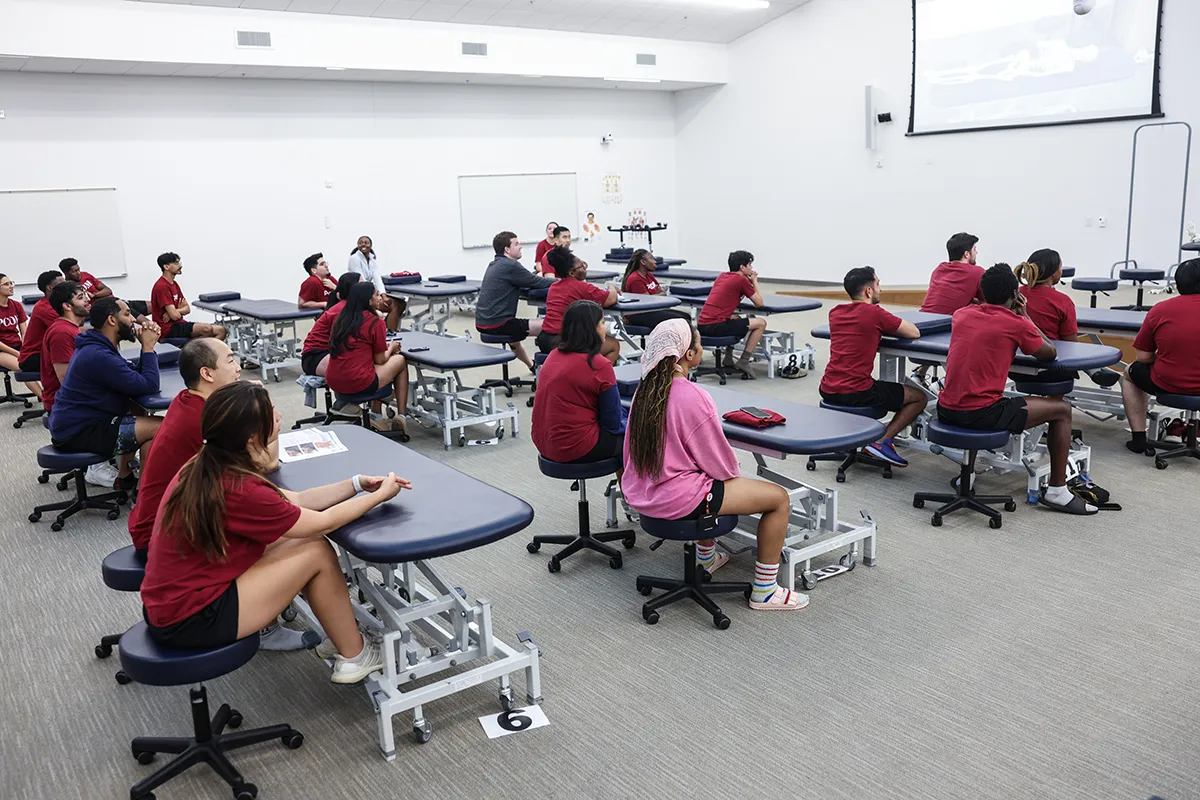 Students sitting and listening to a lecture during an OMM class