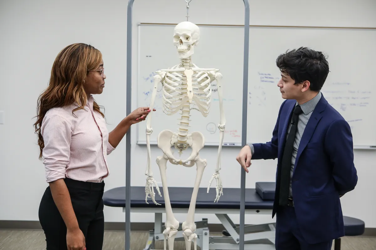 PCOM South Georgia biomed students examining a fake skeleton in the OMM Lab