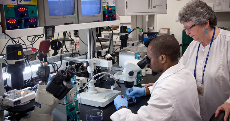 Dr. Owen mentors a grad student on how to use a microscope in a biology lab.